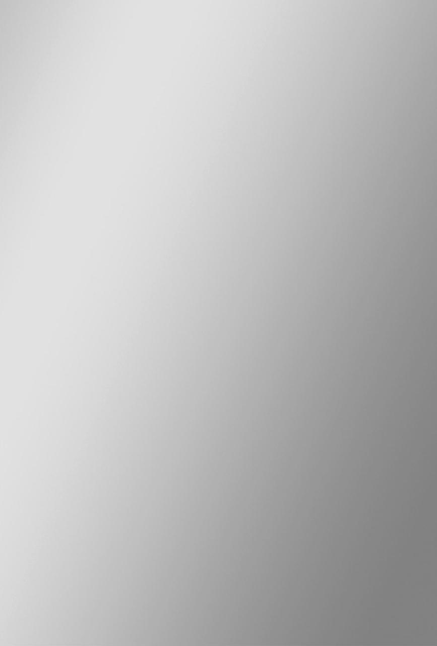 Декоративная панель «Серебряное сияние»