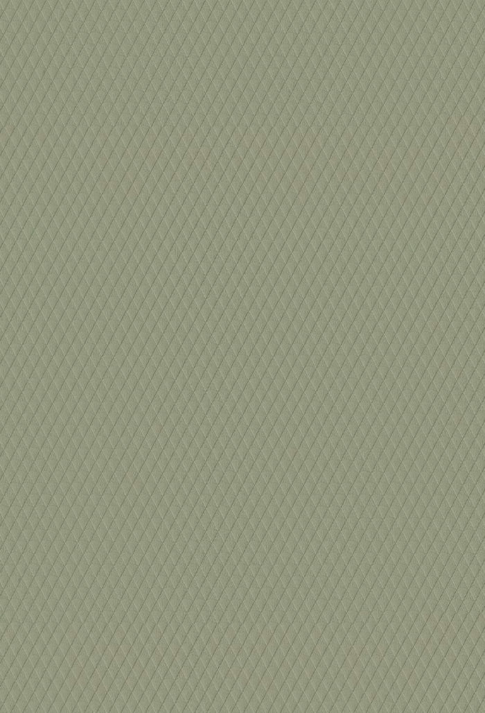 Декоративная панель «Оливковый муар»