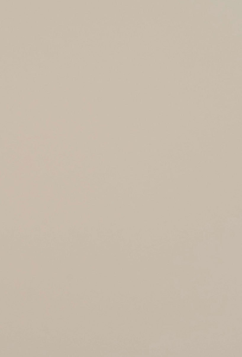 Декоративная панель «Кашемир латте»